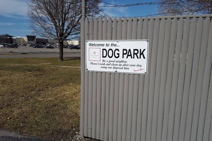Pet Friendly 32 of 42